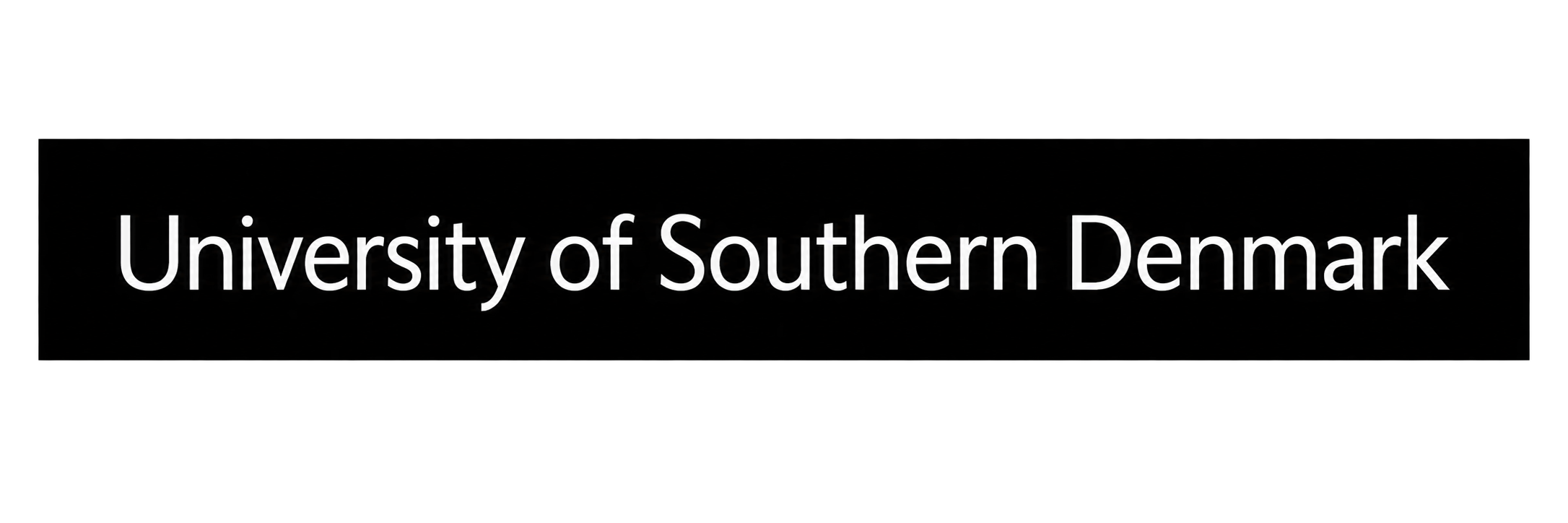 University of Southern Denmark (SDU)